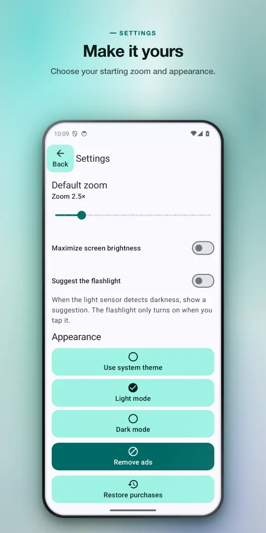 Settings screen with default zoom, maximum screen brightness, flashlight suggestion and appearance options